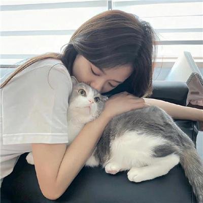红鲨突击